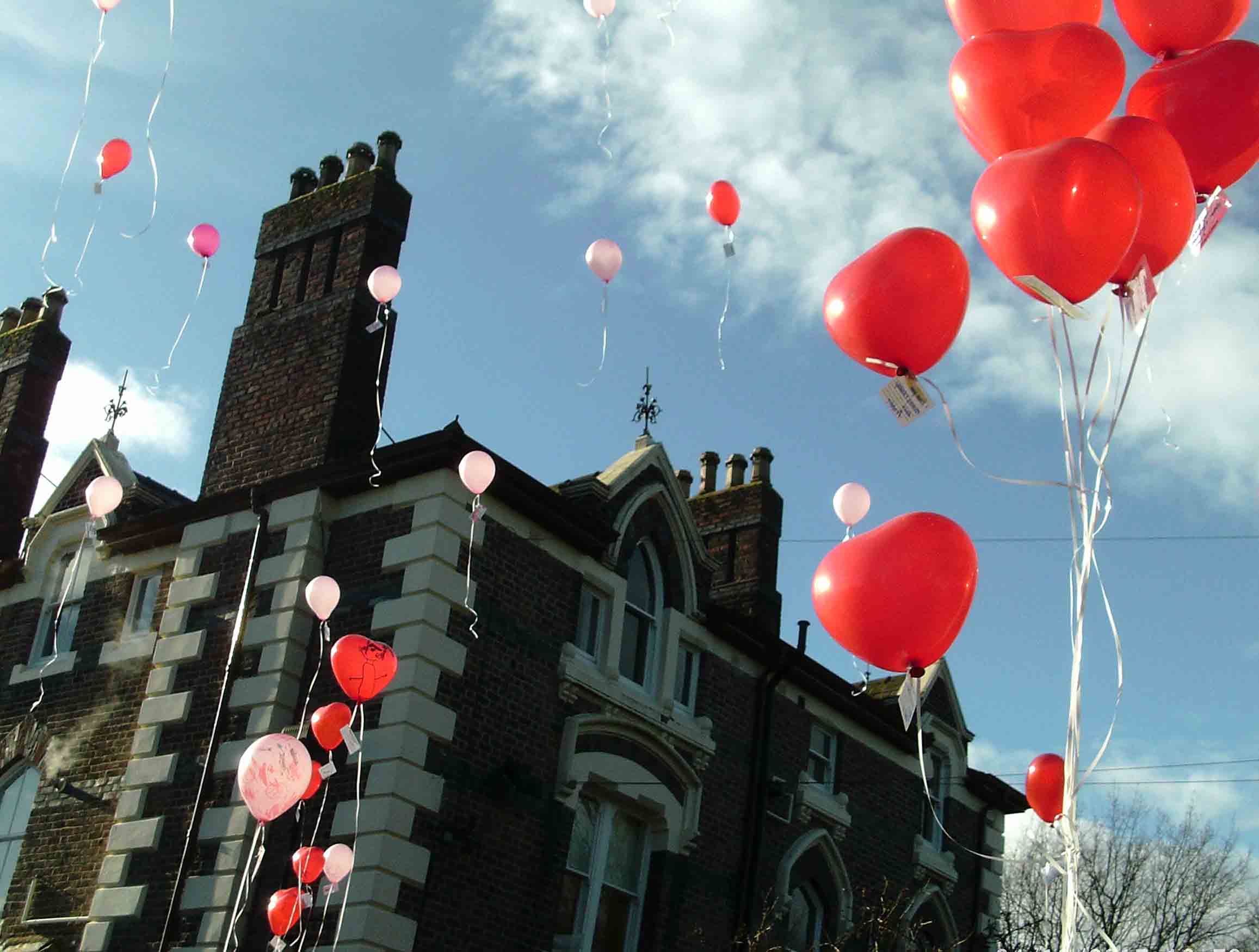 Greenbank Park balloon release Feb16 Greenbank Park balloon release Feb16