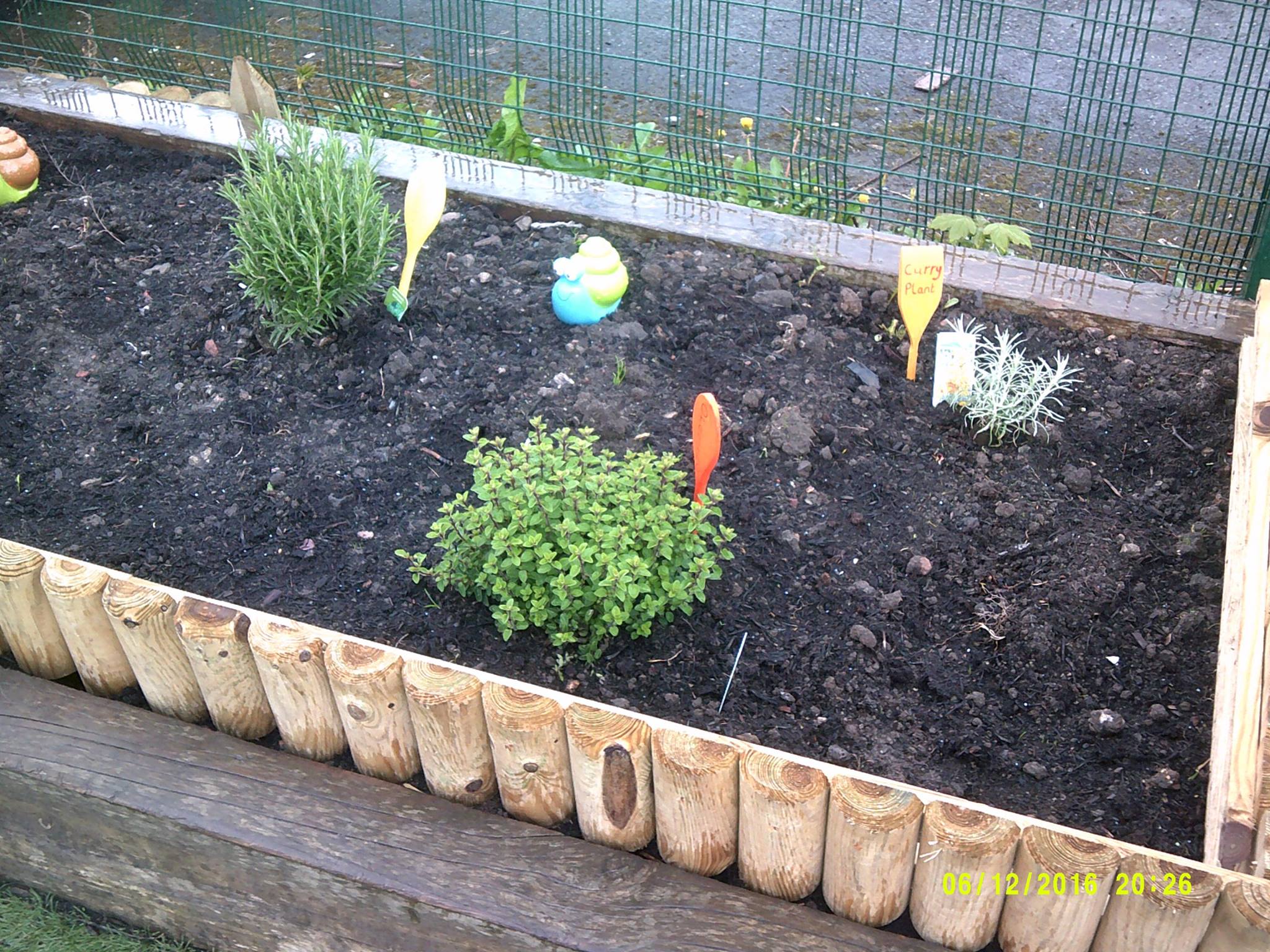 Jeffreys Corner Dukinfield Allotment Jeffreys Corner Dukinfield Allotment