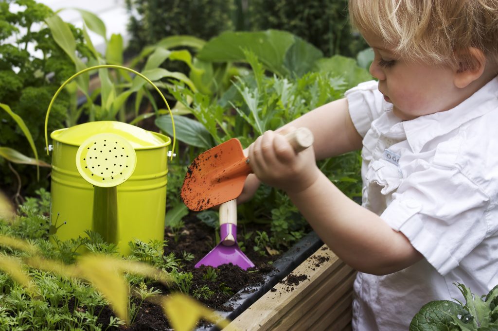 Toddler gardening with children's gardening tools