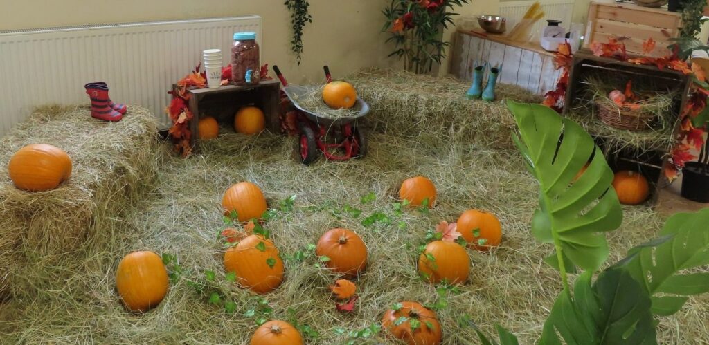 Sheepbridge nursery’s indoor pumpkin patch