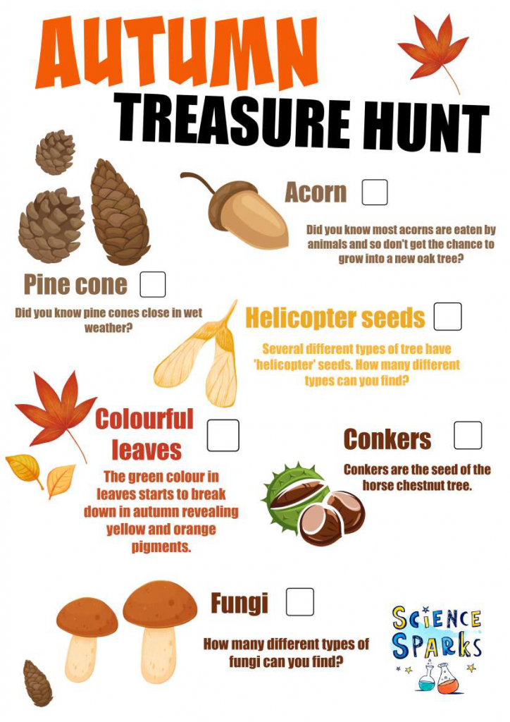 Autumn scavenger hunt checklist