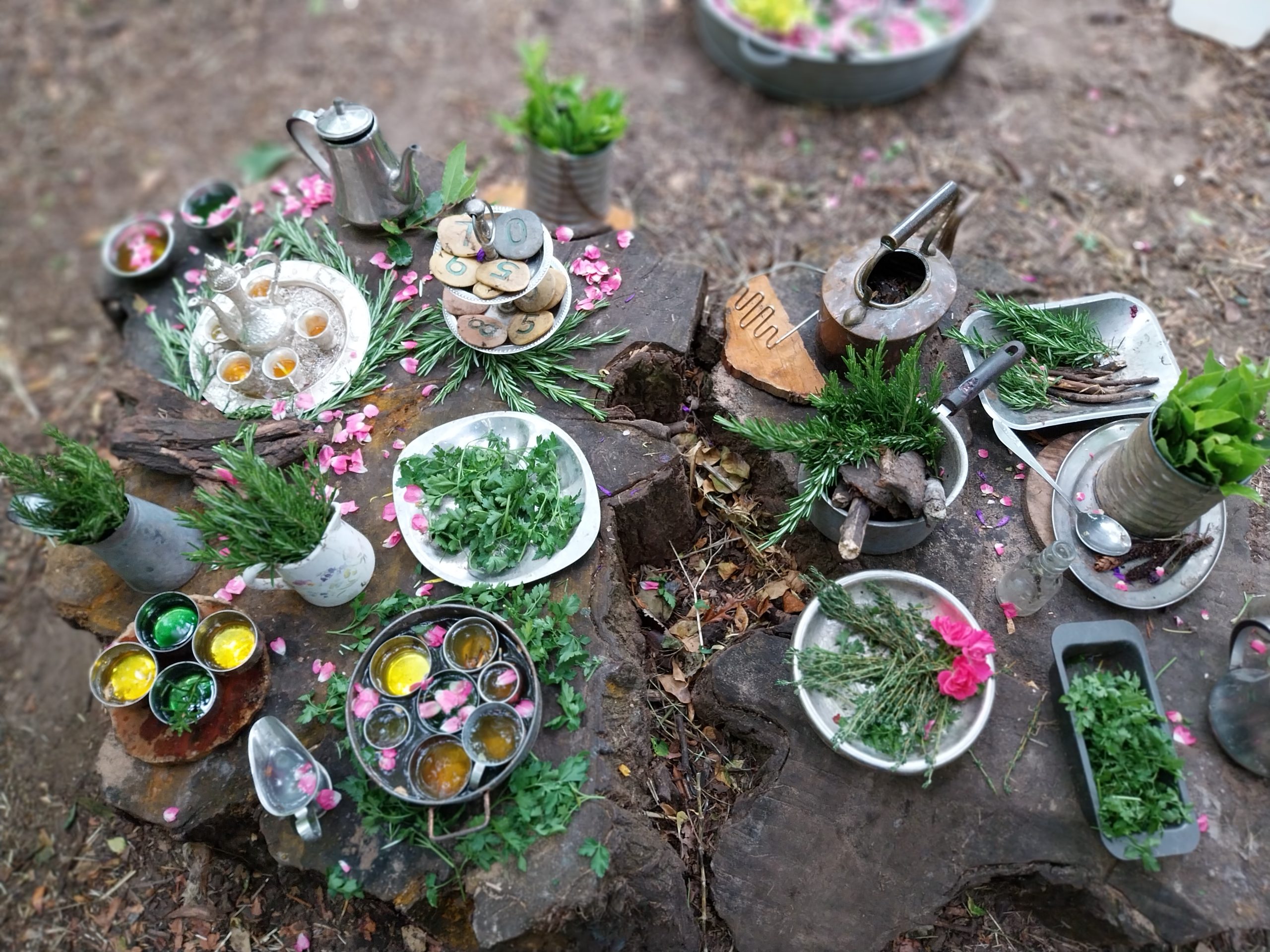 Metal bowls and cups holding chopped herbs, sprigs, oils and rose petals are arranged on weathered tree stumps outdoors, surrounded by dirt and scattered leaves.