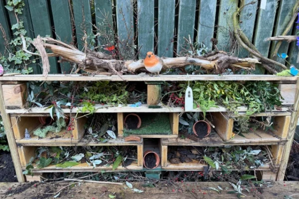 A small orange-breasted robin perches atop a multi-compartment wooden insect hotel filled with leaves, bamboo tubes and moss, set against a green slatted garden fence and soil.