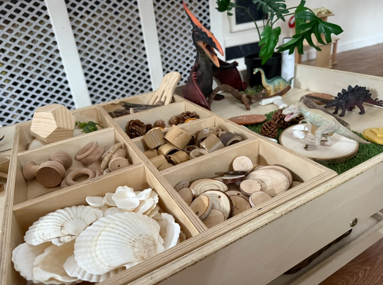 Wooden compartment tray holds organized shells, wooden discs, beads and nature items while toy dinosaurs and a potted plant sit behind it on a tabletop in a bright indoor room.
