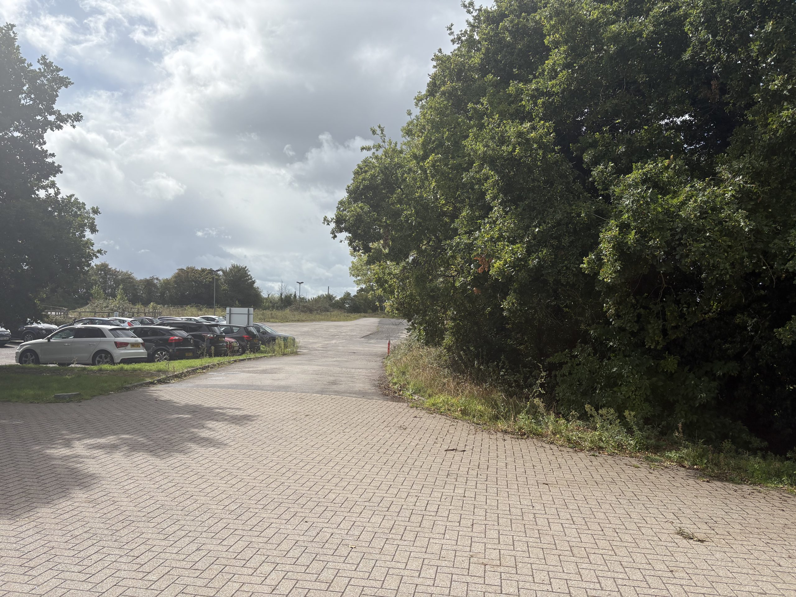 Large oak tree overhangs, casting deep shade onto a paved driveway; parked cars sit to the left in a small lot beneath a cloudy sky and grassy verge.