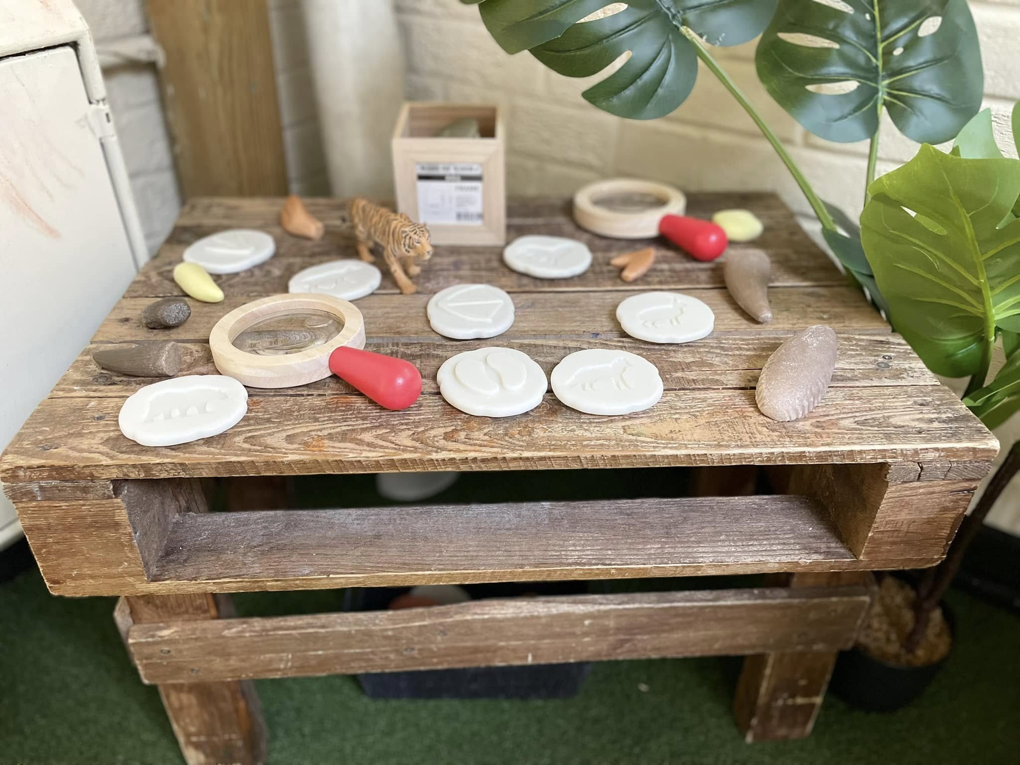 Wooden bench holds white fossil impressions, small stones, a wooden magnifying glass with red handle and a toy tiger, arranged on a rustic table beside potted green leaves.